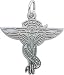 Chiropractor Charm by Rembrandt Charms
