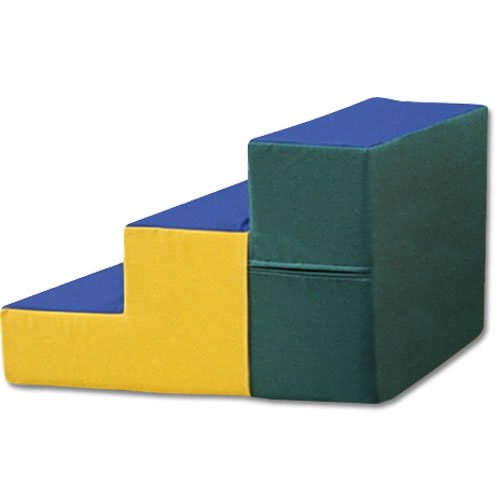 GSC Large Step Learning Form