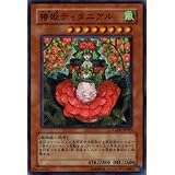 遊戯王シングルカード 椿姫ティタニアル スーパーレア csoc-jp029