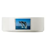 Large Dog Cat Food Water Bowl Dolphins Dancing