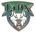 Photo of Minnesota Lynx WNBA Logo Pin