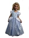 Cinderella Princess Dress Up Costume, Large