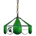 Michigan State Spartans 14 Swag Lamp
