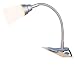 Flexi Clip on desk light