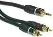Premium 2 RCA Male to 3.5mm Stereo Male, 6 ft
