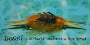 Kaufmans Golden Stonefly