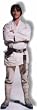 Luke Skywalker (Star Wars Episode IV) Life-Size Standup Poster