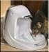 Pet Supplies : Drinkwell Platinum Pet Fountain