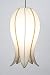 Medium Hanging Flowering Lotus - White