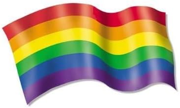 NSI - Rainbow Pride Flag - Sticker / Decal