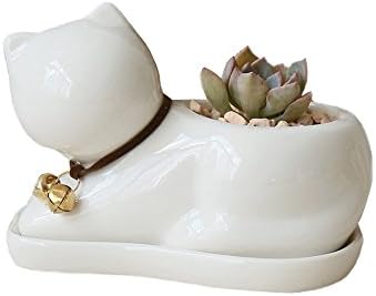 succulent pot White Porcelain Succulents Window Box Planter Cute Cat