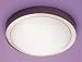 Micromark MM18662 Ascot 2 Light Energy Saving Flush Luminaire