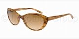 Sunglasses Anne Klein AK3175 325/84 BROWN HORN BRONZE GRADIENT