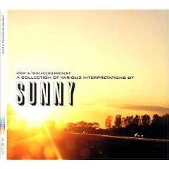 Sunny -- A Collection Of Various Interpretations Of