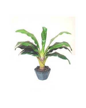 Travelers Artificial Silk Palm Plant in Decor Basket