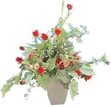 観葉植物ピュアメイト ローズローズ 32cm