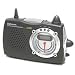AM/FM/TV Portable Radio with Instant Weather