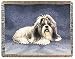 Dog Throw - Shih Tzu