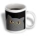 Janna Salak Designs Cats - The Curious Cat Grey with Orange Eyes Black - Mugs