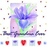 Best Grandma Ever Adult Sweatshirt