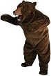 Realistic Brown Bear (Full) Adult Costume