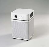 Air Purifier: Austin Air Healthmate Jr