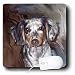 dachshund10 - Dogs Dachshund Dapple Dachshund Mouse Pads