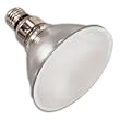 90 Watt PAR 38 Light Bulb / Frosted (Soft Ray) / 120 Volt / 38 Degree (Flood) Beam Spread
