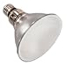 90 Watt PAR 38 Light Bulb / Frosted (Soft Ray) / 120 Volt / 38 Degree (Flood) Beam Spread