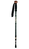 Leki Sierra SAS (Soft Anti-Shock) Trekking Pole