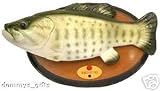 Big Mouth Billy Bass the Singing Sensation Sings Take Me to the River and Don't Worry Be Happy