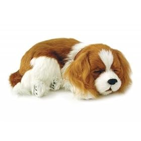 Perfect Petzzz� by 