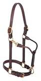 Weaver Double Buckle Leather Halter 1 In Black