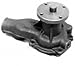 Bosch 97022 New Water Pump