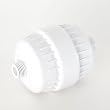 Sprite Industries HO-WH High Output White Shower Filter