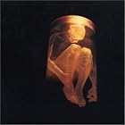 Click here to buy Nothing Safe by  Alice In Chains .