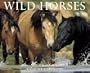 Wild Horses 2006 Calendar