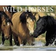 Wild Horses 2006 Calendar