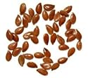 Flax Seed - Whole