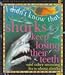 Sharks Keep Losing Teeth And (I Didn't Know That)