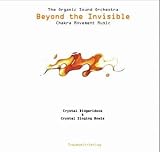 The Organic Sound Orchestra: Beyond the Invisible, 1 Audio-CD