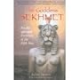 Goddess Sekhmet Paperback