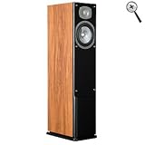 Energy C-300 Floor Standing Speaker (Single, Cherry)
