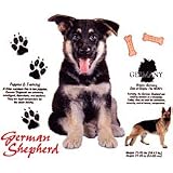 German Shepherd Adult T-Shirt
