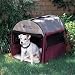 Pet Supplies : Petmate Portable Pet Home Medium, Khaki/Maroon