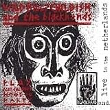 Play Capt Calypsos Hoodoo Party / Live in the Netherlands
