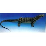 Toy Distributor - 40 Inch Jumbo Monitor Lizard by 