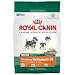 schnauzer26 - Royal Canin MINI Canine Health Nutrition Miniature Schnauzer