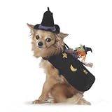 PETCO Witch on Broom Spooky Sidekick Halloween Costume X-Small