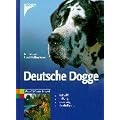 Deutsche Dogge: Auswahl, Haltung, Erziehung, Besch�ftigung